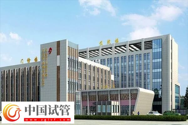 深扒青岛市妇幼保健院生殖中心:三代试管婴儿助孕率超68%(图1) 深扒青岛市妇幼保健院生殖中心:三代试管婴儿助孕率超68%(图1)
