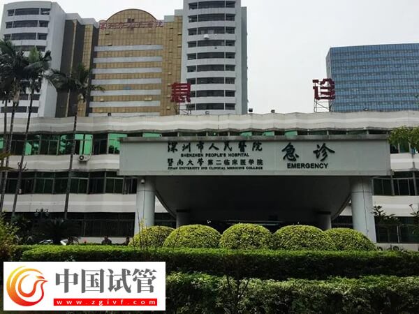 深圳试管婴儿机构大盘点,成功率高达55%的有这3家!(图2) 深圳试管婴儿机构大盘点,成功率高达55%的有这3家!(图2)