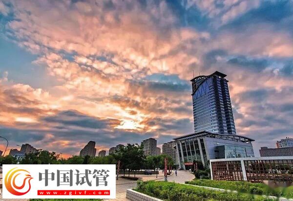 包头做试管婴儿多少钱(图1) 包头做试管婴儿多少钱(图1)