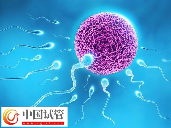 包头供卵助孕有什么条件(图1) 包头供卵助孕有什么条件(图1)
