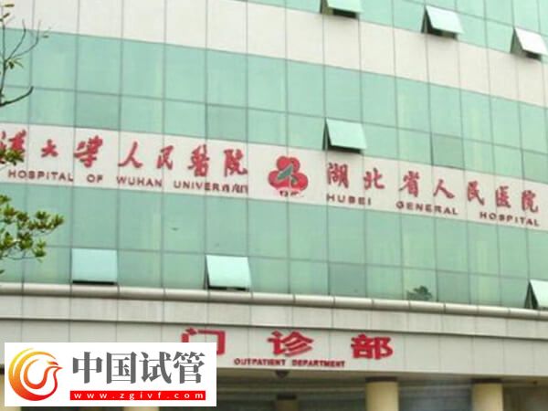 武汉大学人民医院三代试管婴儿花费说明:夫妻检查2000元起步(图1) 武汉大学人民医院三代试管婴儿花费说明:夫妻检查2000元起步(图1)