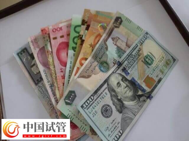 莆田试管婴儿费用多少(图1) 莆田试管婴儿费用多少(图1)