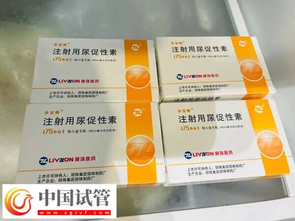 试管婴儿促排期间几个细节别忽视,掌握这5个要点受用整个周期(图1) 试管婴儿促排期间几个细节别忽视,掌握这5个要点受用整个周期(图1)