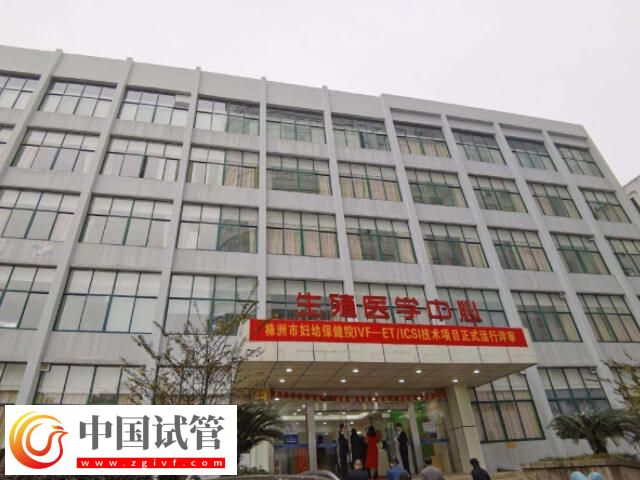 株洲试管婴儿机构排名,株洲试管婴儿医院有哪些(图1) 株洲试管婴儿机构排名,株洲试管婴儿医院有哪些(图1)