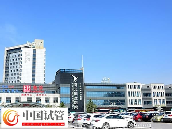 河北试管婴儿机构介绍,1分钟搞清楚廊坊哪家口碑不错!(图1) 河北试管婴儿机构介绍,1分钟搞清楚廊坊哪家口碑不错!(图1)