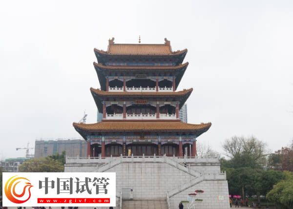 宜春试管婴儿医院有哪些(图1) 宜春试管婴儿医院有哪些(图1)