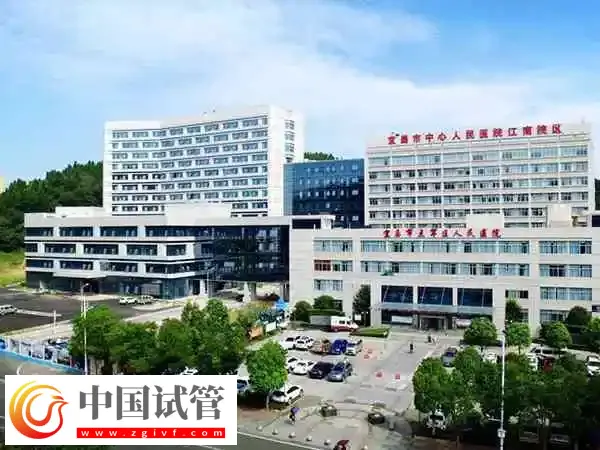 宜昌市中心人民医院试管婴儿生双胞胎多少钱(图1) 宜昌市中心人民医院试管婴儿生双胞胎多少钱(图1)