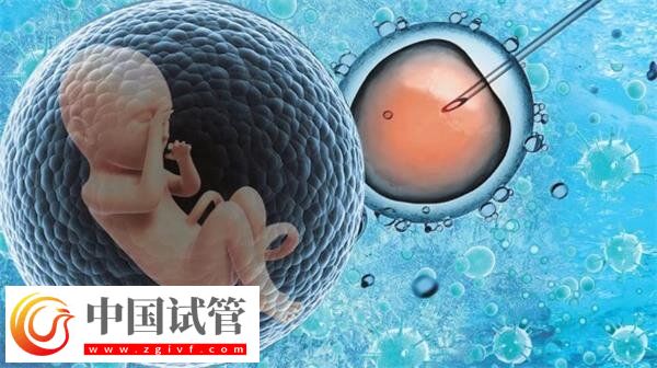 景德镇市妇幼保健院试管费用及成功率一网打尽,汇总全面(图1) 景德镇市妇幼保健院试管费用及成功率一网打尽,汇总全面(图1)