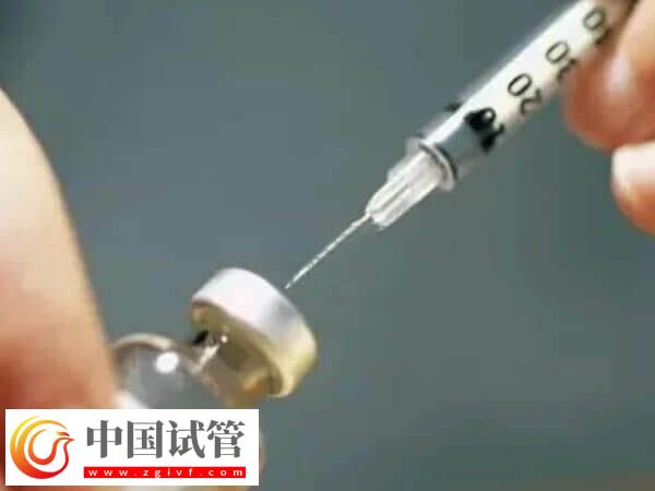 赣州试管婴儿费用多少(图1) 赣州试管婴儿费用多少(图1)