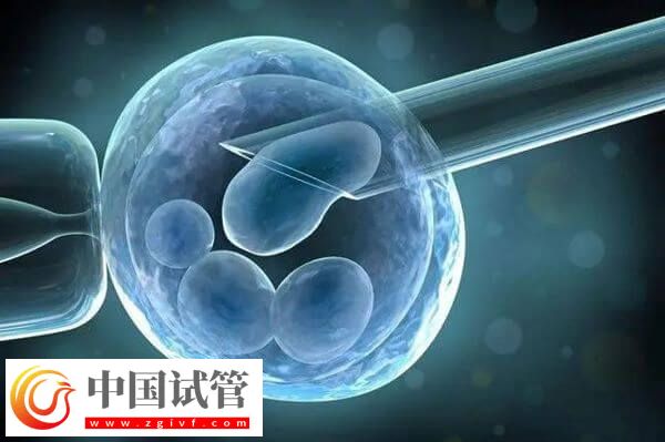 九江哪家医院试管成功率高(图1) 九江哪家医院试管成功率高(图1)