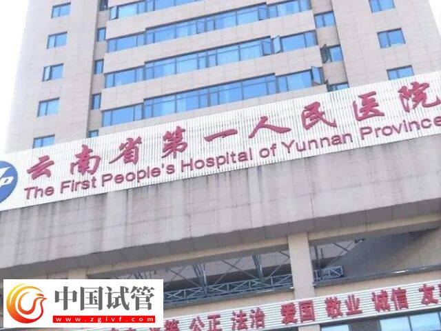 昆明靠谱三代试管婴儿机构精选,本地人:不止西山区这一家!(图2) 昆明靠谱三代试管婴儿机构精选,本地人:不止西山区这一家!(图2)