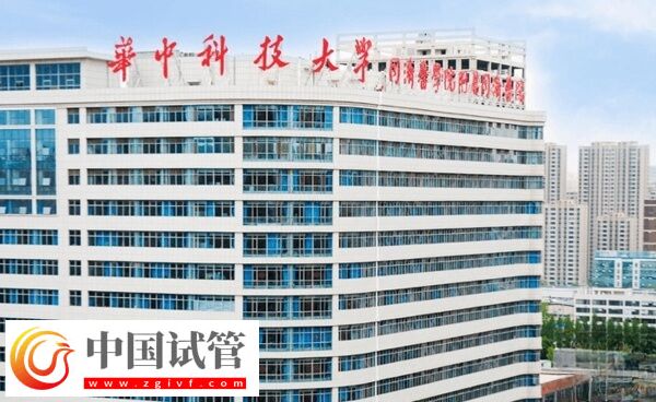 武汉三代试管婴儿机构速阅,读完即知江岸区有没有!(图1) 武汉三代试管婴儿机构速阅,读完即知江岸区有没有!(图1)