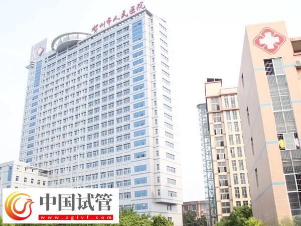 贺州能不能做试管婴儿(图1) 贺州能不能做试管婴儿(图1)