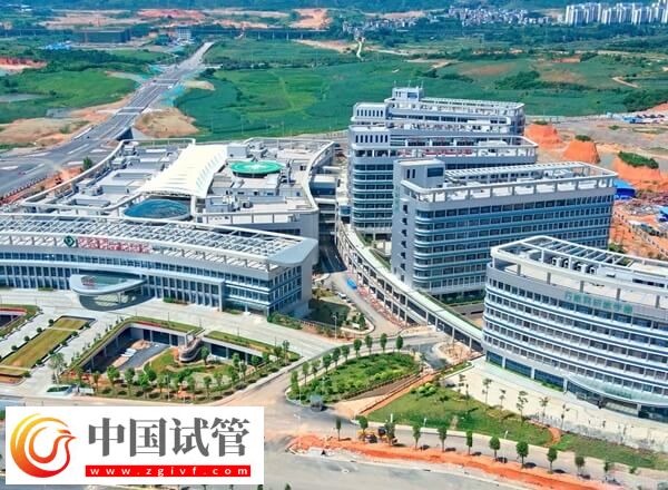 百色做试管婴儿能否报销(图2) 百色做试管婴儿能否报销(图2)