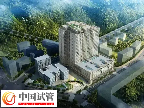 梧州哪里能做试管婴儿(图2) 梧州哪里能做试管婴儿(图2)