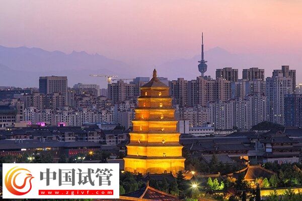 河池哪些不孕不育医院好(图1) 河池哪些不孕不育医院好(图1)