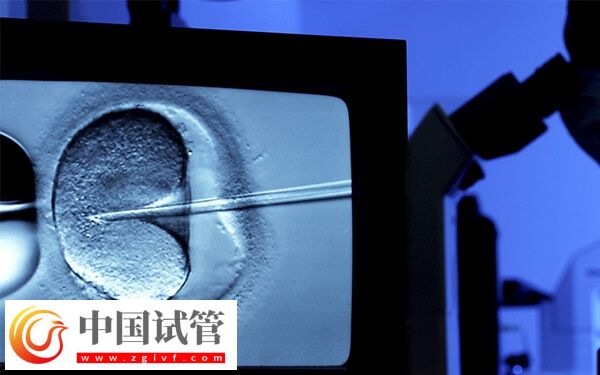 贵港试管婴儿费用多少(图2) 贵港试管婴儿费用多少(图2)