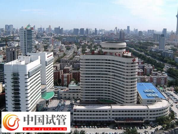 天津一中心医院做试管要什么条件(图1) 天津一中心医院做试管要什么条件(图1)