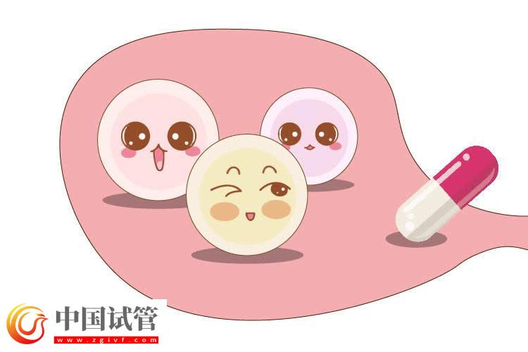 移植几枚胚胎成功率高?(图1) 移植几枚胚胎成功率高?(图1)