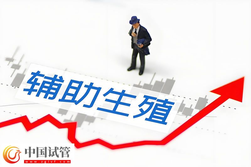 苏州试管婴儿费用一览及详细介绍(图1) 苏州试管婴儿费用一览及详细介绍(图1)