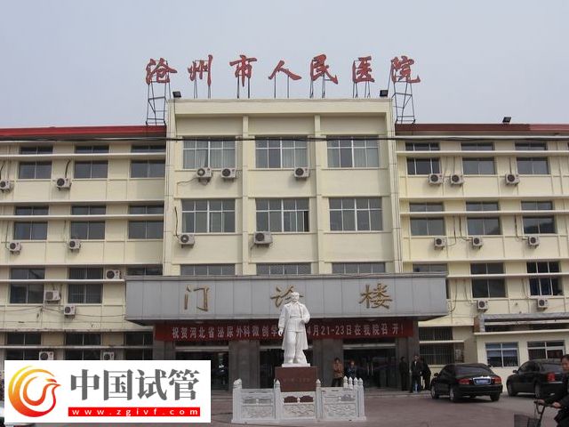 沧州人民和中心医院做试管哪个好(图1) 沧州人民和中心医院做试管哪个好(图1)