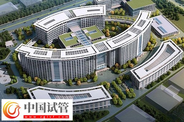 沧州人民和中心医院做试管哪个好(图2) 沧州人民和中心医院做试管哪个好(图2)