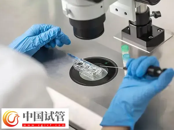 邢台三院试管婴儿费用是多少(图1) 邢台三院试管婴儿费用是多少(图1)