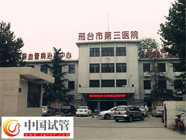 邢台三院试管成功率高不高(图1) 邢台三院试管成功率高不高(图1)