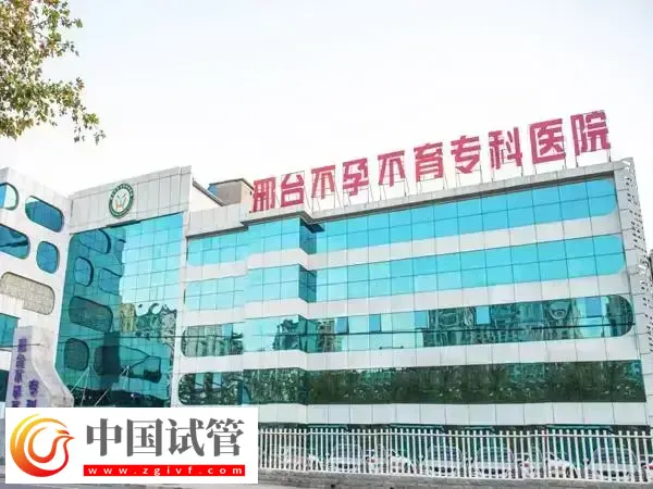 邢台不孕不育专科医院试管婴儿成功率多少(图1) 邢台不孕不育专科医院试管婴儿成功率多少(图1)