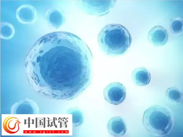 泌乳素偏高可不可以做试管婴儿(图1) 泌乳素偏高可不可以做试管婴儿(图1)