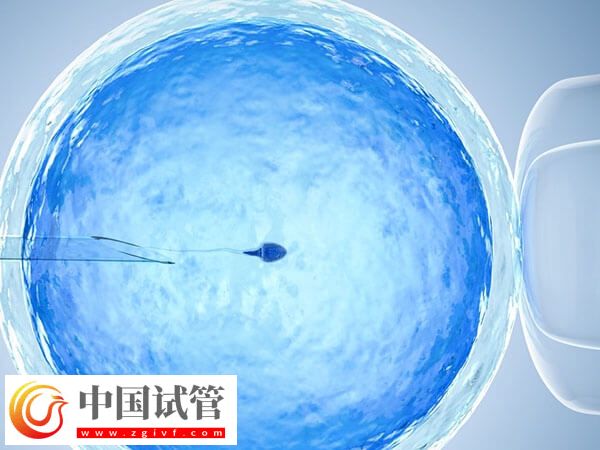 临汾人民医院试管流程有哪些(图1) 临汾人民医院试管流程有哪些(图1)