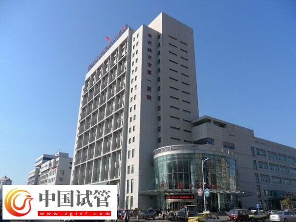 齐齐哈尔第一医院做试管能不能用医保(图1)