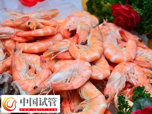 取卵前吃什么对卵泡好(图1) 取卵前吃什么对卵泡好(图1)