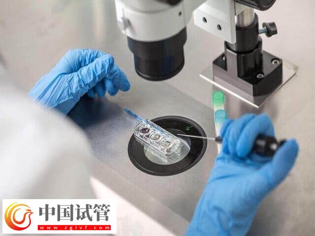 冻胚移植后小腹用力会怎样(图1) 冻胚移植后小腹用力会怎样(图1)