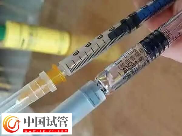 试管婴儿取多少卵合适(图1) 试管婴儿取多少卵合适(图1)
