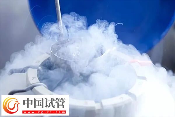 三代试管为什么移植都是冻胚(图1) 三代试管为什么移植都是冻胚(图1)
