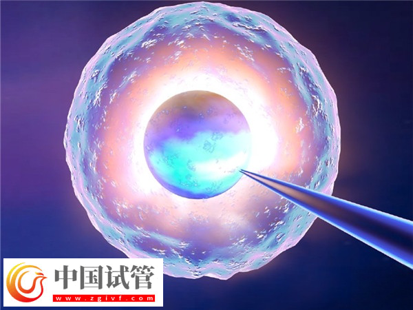 实施供卵试管助孕时间(图1) 实施供卵试管助孕时间(图1)