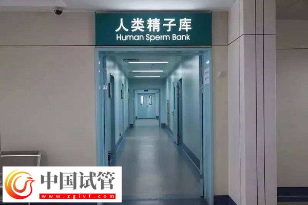实施供卵试管助孕时间(图2) 实施供卵试管助孕时间(图2)
