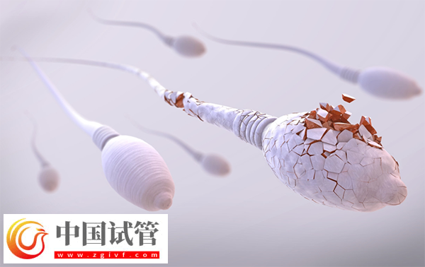 未婚女性做供精试管多少钱一次(图1) 未婚女性做供精试管多少钱一次(图1)
