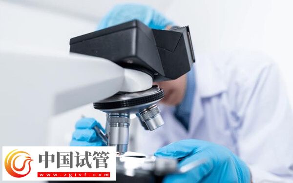 囊胚移植第五天屁多怎么回事(图2) 囊胚移植第五天屁多怎么回事(图2)
