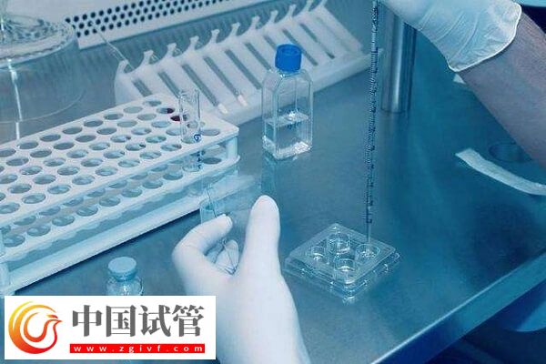 供精试管婴儿的条件是什么(图1) 供精试管婴儿的条件是什么(图1)