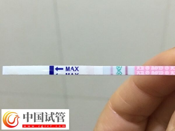 囊胚移植6天测出水印是否着床了(图1) 囊胚移植6天测出水印是否着床了(图1)
