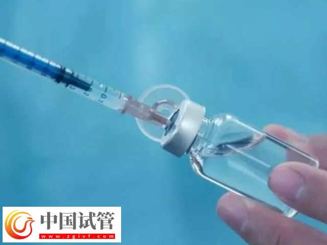 取17个卵配几个胚胎(图1) 取17个卵配几个胚胎(图1)