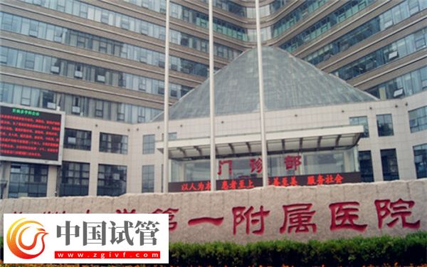 郑大一附院试管婴儿取卵需要住院几天(图1) 郑大一附院试管婴儿取卵需要住院几天(图1)