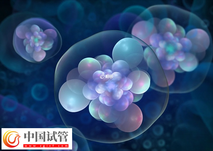 郑大一附院试管婴儿取卵需要住院几天(图2) 郑大一附院试管婴儿取卵需要住院几天(图2)