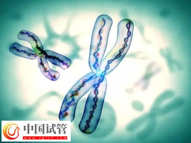 试管三代囊胚检测有没有风险(图1) 试管三代囊胚检测有没有风险(图1)