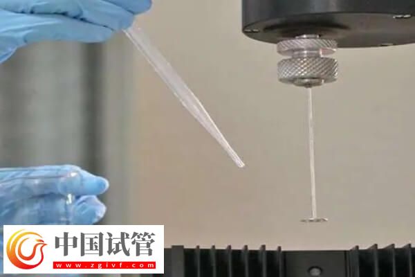 试管3代为什么还会发育异常(图1) 试管3代为什么还会发育异常(图1)