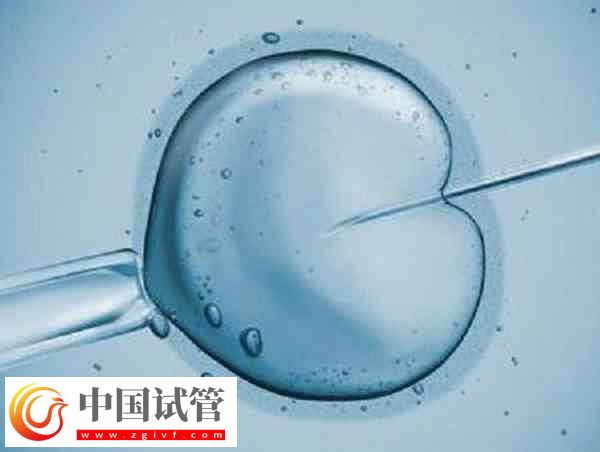 囊胚解冻后几小时移植(图2) 囊胚解冻后几小时移植(图2)