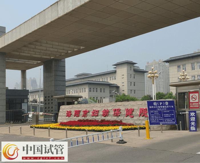 洛阳市妇幼保健院试管需要什么证件(图1) 洛阳市妇幼保健院试管需要什么证件(图1)