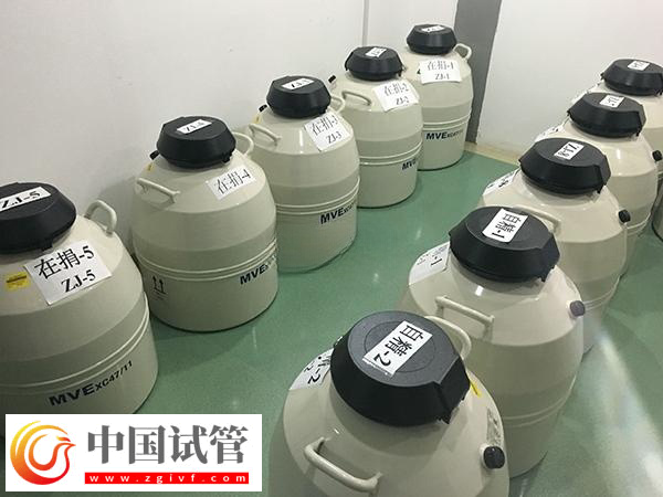 郑州市妇幼保健院生殖科(图2) 郑州市妇幼保健院生殖科(图2)